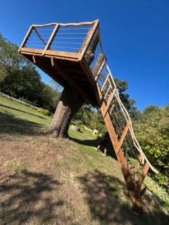 Terrasse dans un arbre en pin classe 4 près de Montpellier
